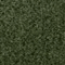 Piniengrün #0080